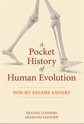 A Pocket History of Human Evolution How We Became Sapiens